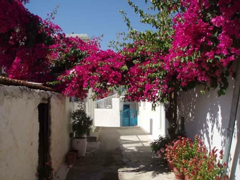 Tourloti Village House 外观 照片